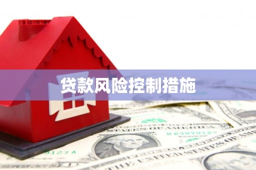 龙江贷款风险控制措施