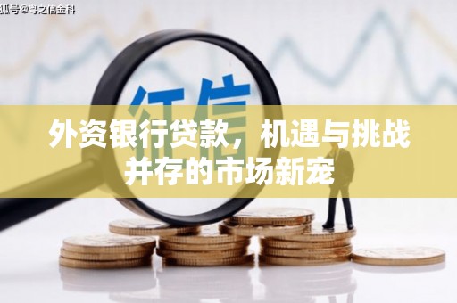 颍州外资银行贷款，机遇与挑战并存的市场新宠