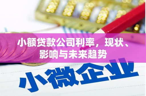 天水小额贷款公司利率，现状、影响与未来趋势