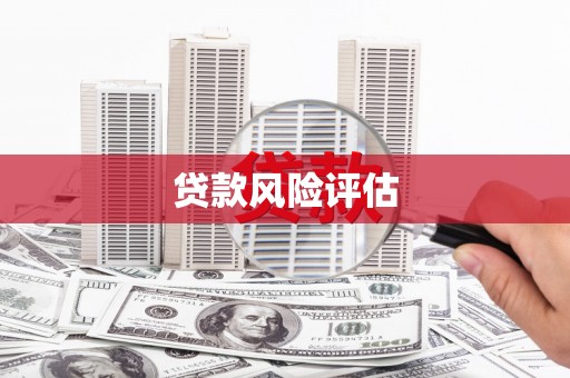 康县贷款风险评估