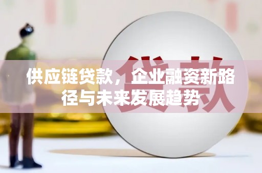 蔡甸供应链贷款，企业融资新路径与未来发展趋势
