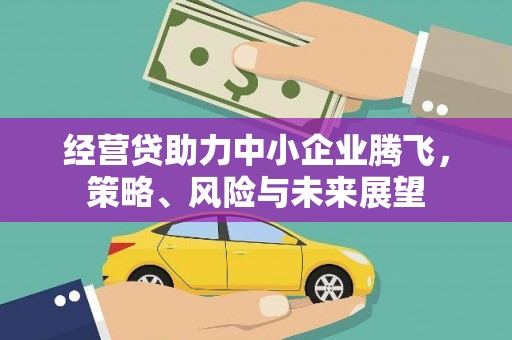 乡城经营贷助力中小企业腾飞，策略、风险与未来展望