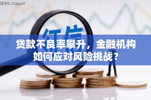 岱山贷款不良率攀升，金融机构如何应对风险挑战？