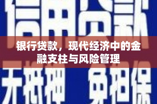旺苍银行贷款，现代经济中的金融支柱与风险管理