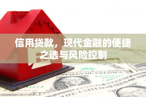 金秀信用贷款，现代金融的便捷之选与风险控制