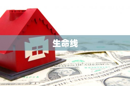 玉树生命线