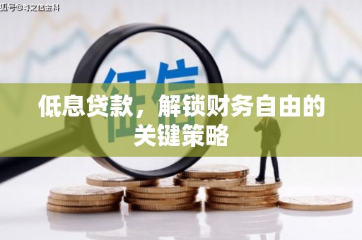 丽水低息贷款，解锁财务自由的关键策略