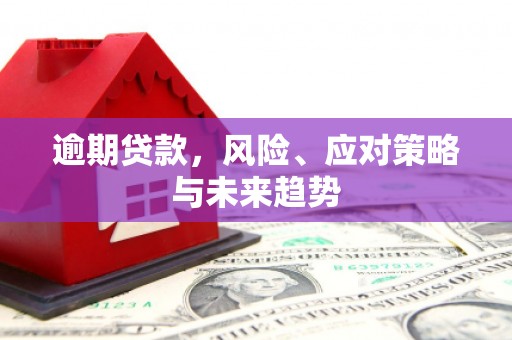 贞丰逾期贷款，风险、应对策略与未来趋势