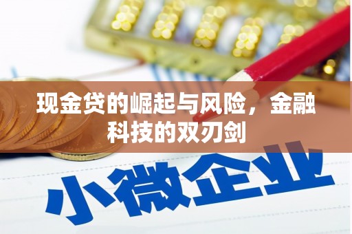 新泰现金贷的崛起与风险，金融科技的双刃剑