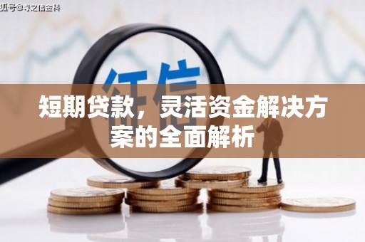 吴忠短期贷款，灵活资金解决方案的全面解析
