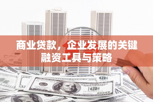 玉树商业贷款，企业发展的关键融资工具与策略