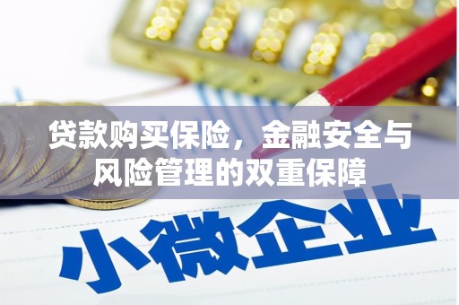 曲麻莱贷款购买保险，金融安全与风险管理的双重保障