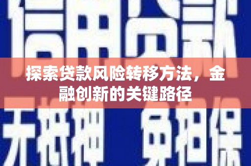 泸溪探索贷款风险转移方法，金融创新的关键路径