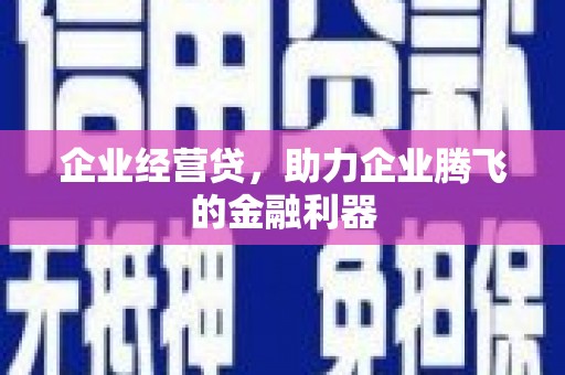 勉县企业经营贷，助力企业腾飞的金融利器