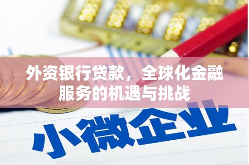 平南外资银行贷款，全球化金融服务的机遇与挑战