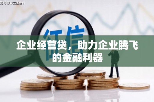 海盐企业经营贷，助力企业腾飞的金融利器