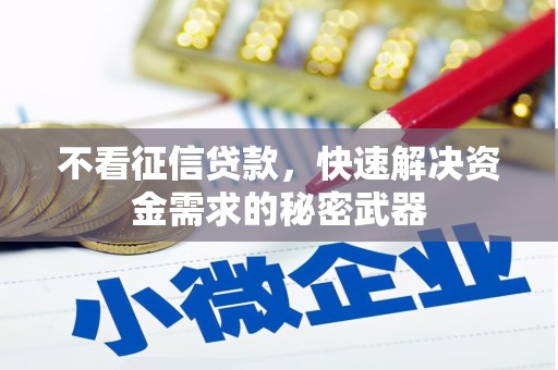 曾都不看征信贷款，快速解决资金需求的秘密武器