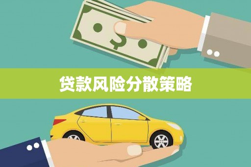 莎车贷款风险分散策略
