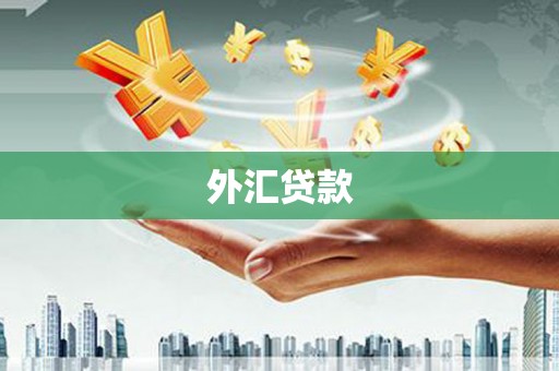 汉中外汇贷款