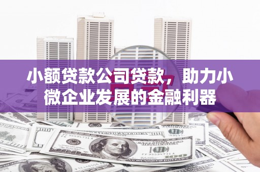 永靖小额贷款公司贷款，助力小微企业发展的金融利器