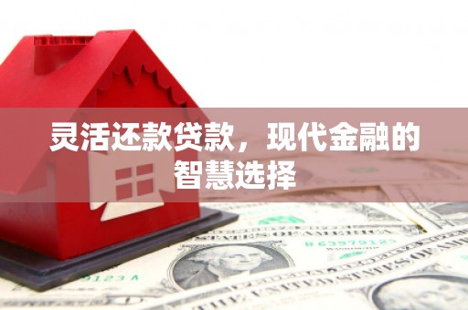 乡城灵活还款贷款，现代金融的智慧选择