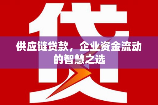 文登供应链贷款，企业资金流动的智慧之选