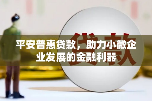安居平安普惠贷款，助力小微企业发展的金融利器