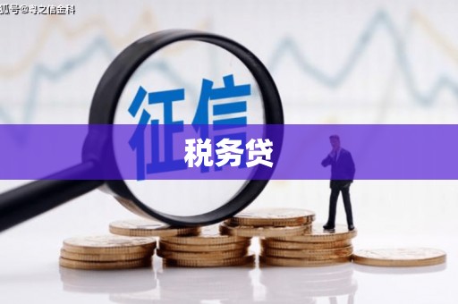 三沙税务贷