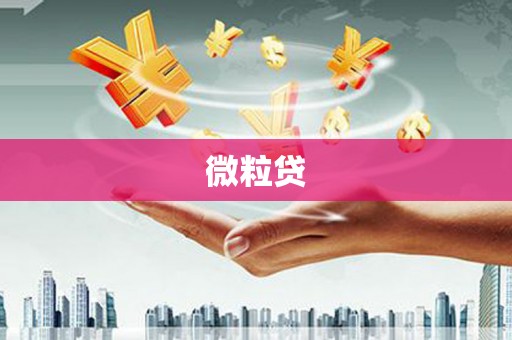 柞水微粒贷