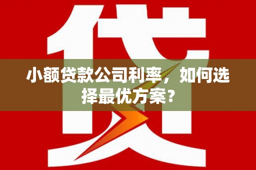 杨浦小额贷款公司利率，如何选择最优方案？