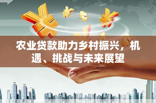 沛县农业贷款助力乡村振兴，机遇、挑战与未来展望