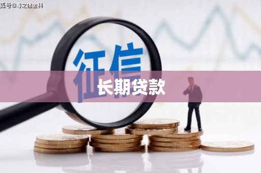 卑南长期贷款