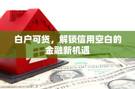 阳高白户可贷，解锁信用空白的金融新机遇