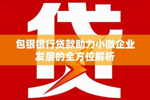 枋寮包银银行贷款助力小微企业发展的全方位解析
