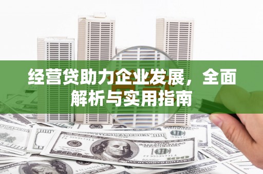沙依巴克经营贷助力企业发展，全面解析与实用指南