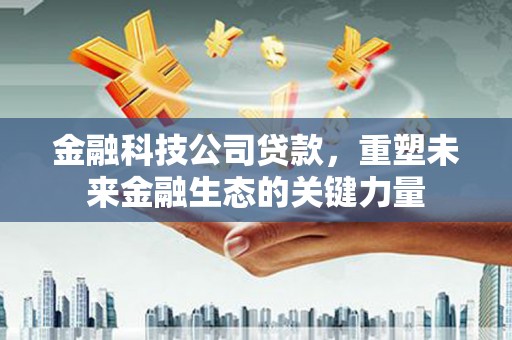 卢龙金融科技公司贷款，重塑未来金融生态的关键力量