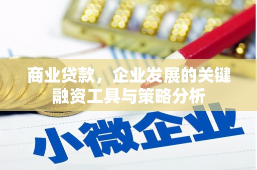 花地玛堂区商业贷款，企业发展的关键融资工具与策略分析