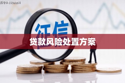 秀山贷款风险处置方案