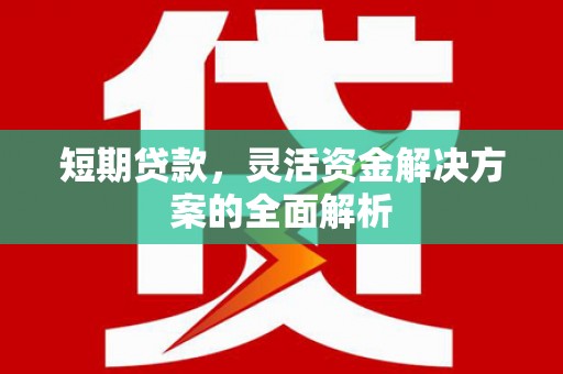 润州短期贷款，灵活资金解决方案的全面解析