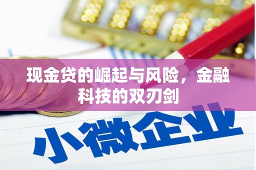 梅州现金贷的崛起与风险，金融科技的双刃剑