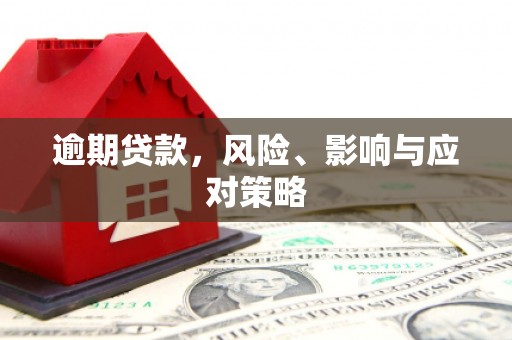 员山逾期贷款，风险、影响与应对策略