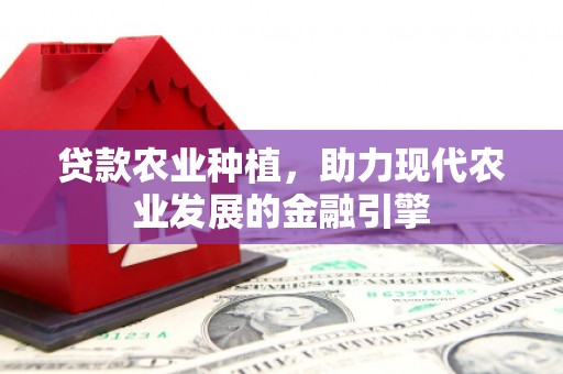 长顺贷款农业种植，助力现代农业发展的金融引擎
