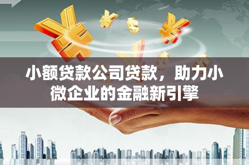 隆化小额贷款公司贷款，助力小微企业的金融新引擎