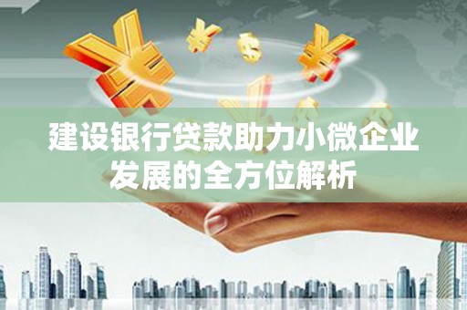 正安建设银行贷款助力小微企业发展的全方位解析