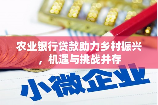 大堂农业银行贷款助力乡村振兴，机遇与挑战并存