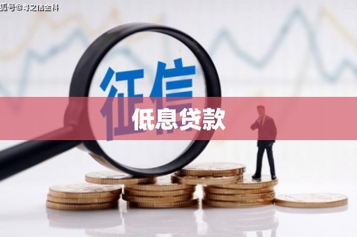天河低息贷款
