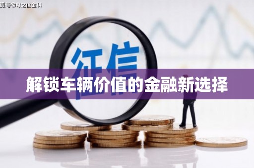 平江解锁车辆价值的金融新选择