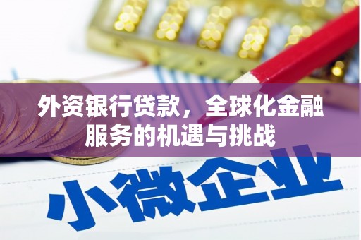 岱山外资银行贷款，全球化金融服务的机遇与挑战