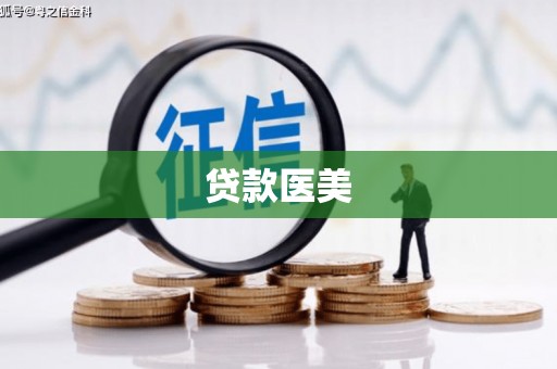 赣县贷款医美