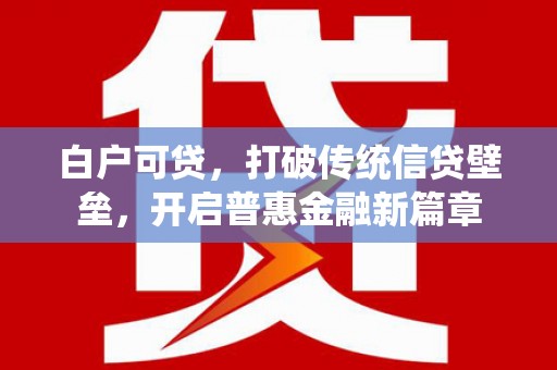 龙江白户可贷，打破传统信贷壁垒，开启普惠金融新篇章